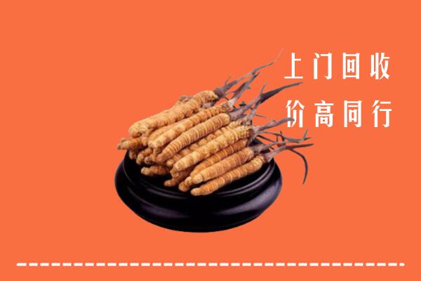 高价求购：平川区回收散虫草