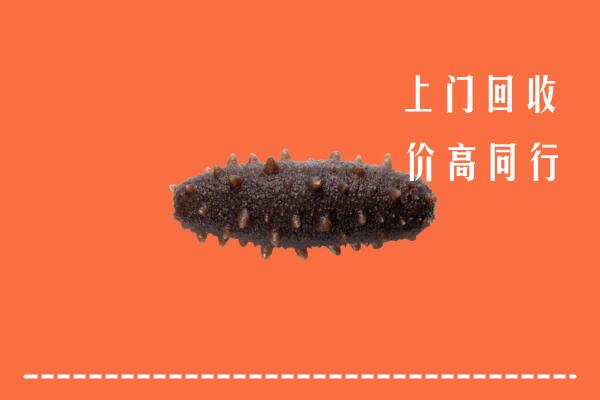 高价求购：平川区回收海参